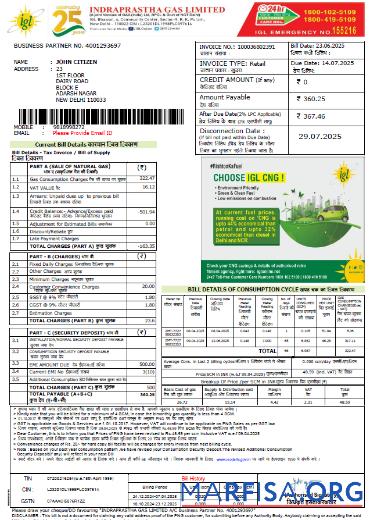 Printable India Indraprastha Gas utility bill template in Word and PDF formats